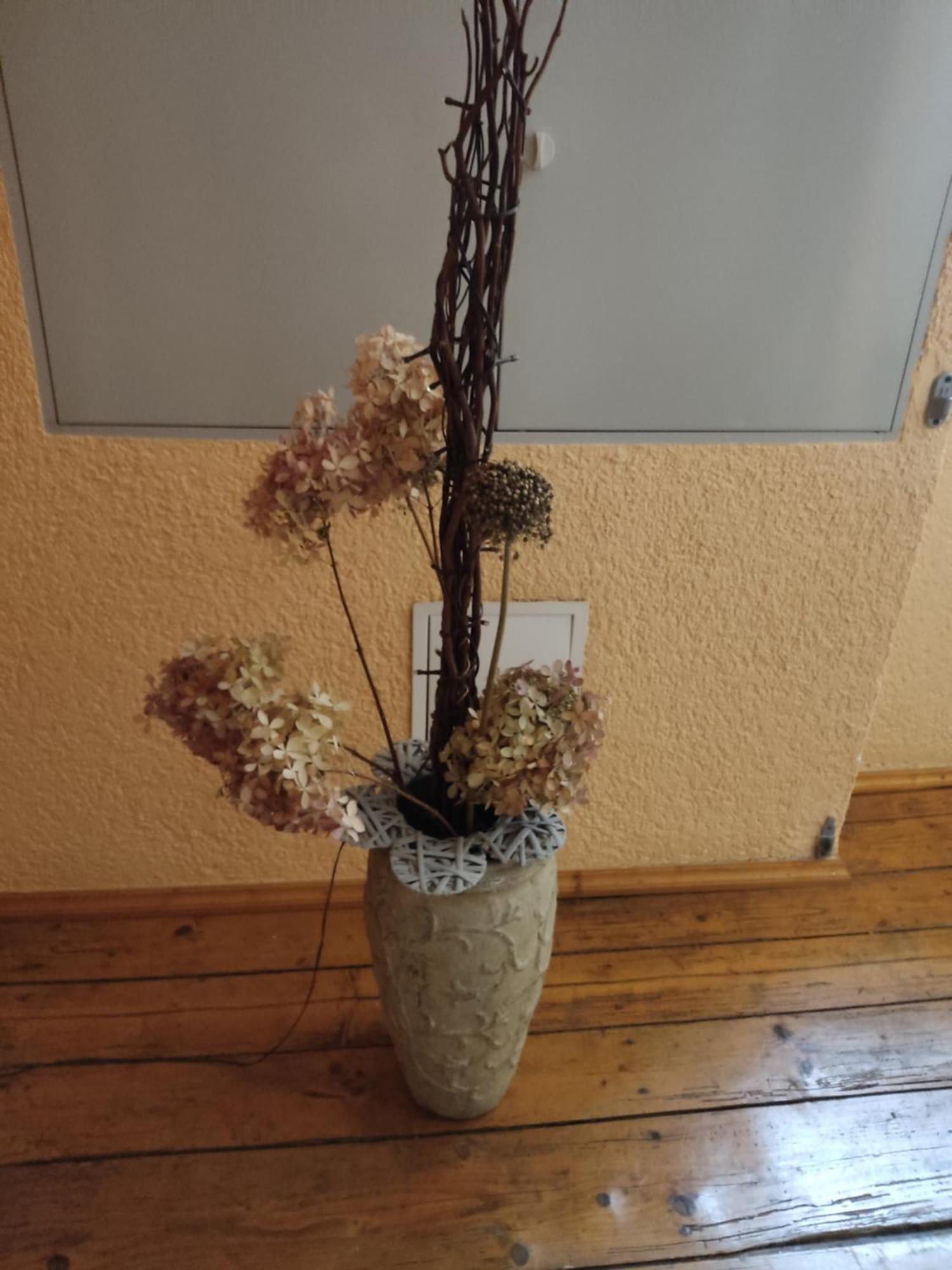 Pension Grenzeck Bad Schandau Buitenkant foto